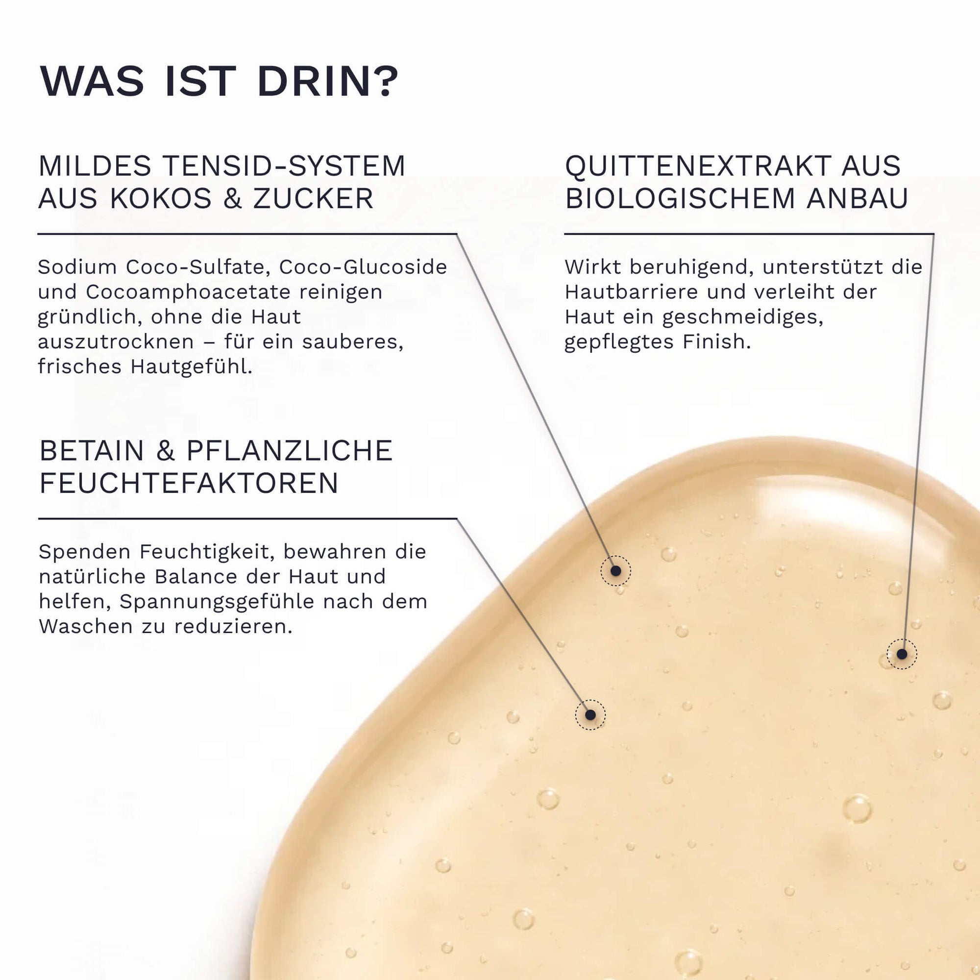 Eine hellgoldene Geltextur des Bergamond and Birch Hand and Body Wash Smoky Spice ist nah aufgenommen und Beschriftungen erklären das milde Tensidsystem aus Kokos und Zucker pflanzliche Feuchthalter sowie beruhigenden Bio Quittenextrakt.