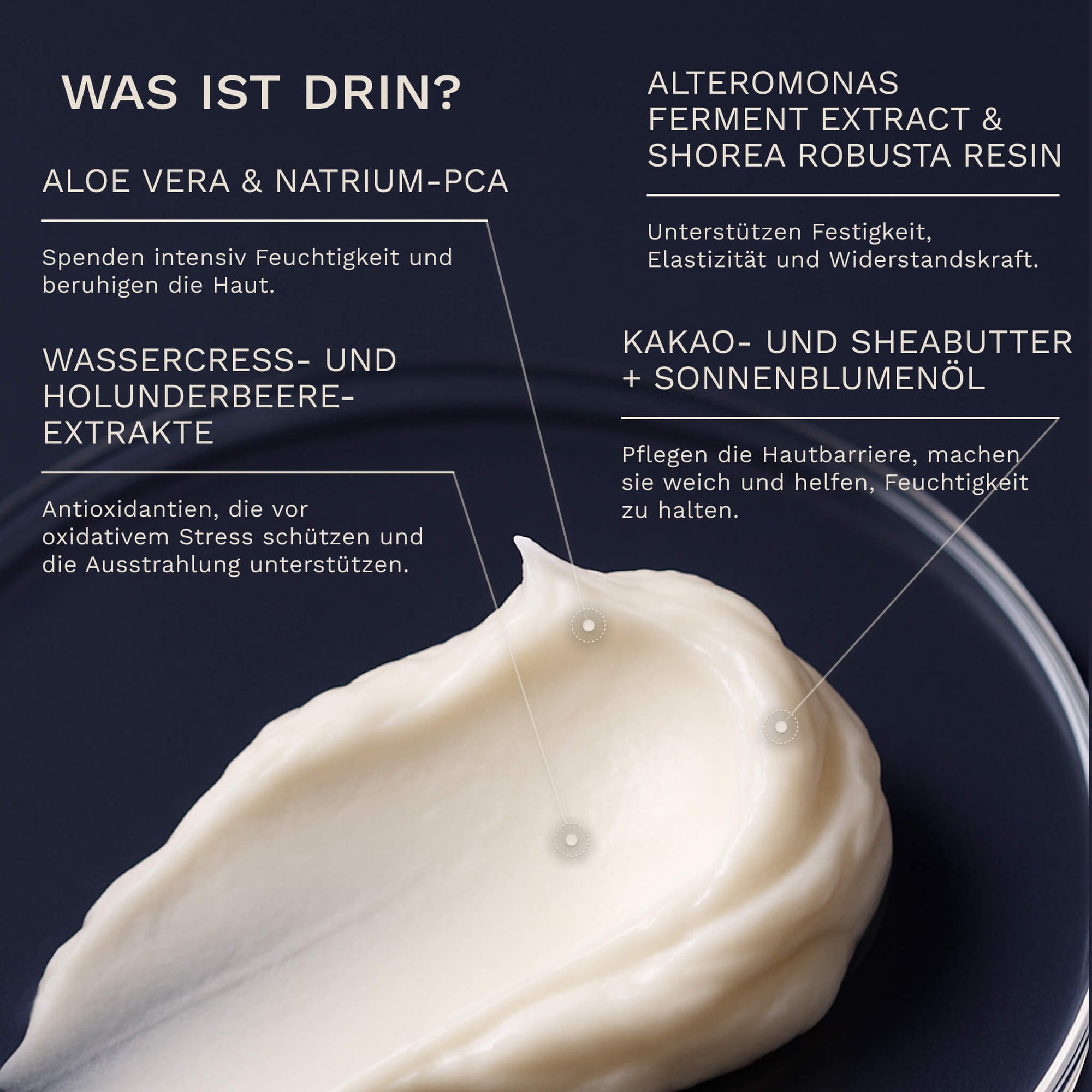 Bergamond &amp; Birch Regenesis No. 36 – Night Repair Cream für Frauen Face Moisturizer 63817 Regenesis No. 36 – Night Repair Cream für Frauen