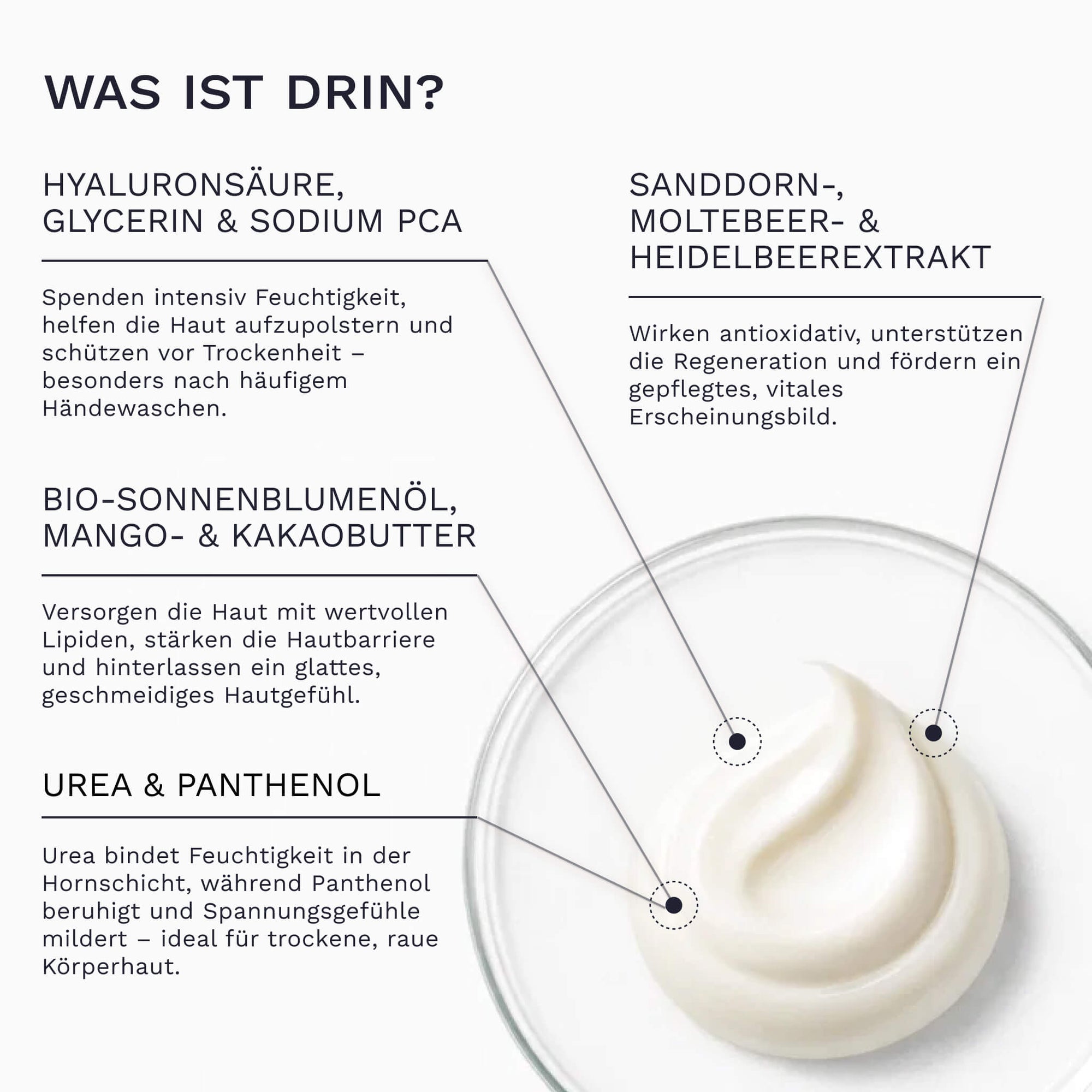  Eine weiße Cremetextur der Bergamond and Birch Body Cream wird aus der Nähe gezeigt während Beschriftungen Hyaluronsäure Glycerin Sodium PCA pflanzliche Buttern Sanddorn und Beerenextrakte sowie Urea und Panthenol mit ihren pflegenden Eigenschaften erklären.

