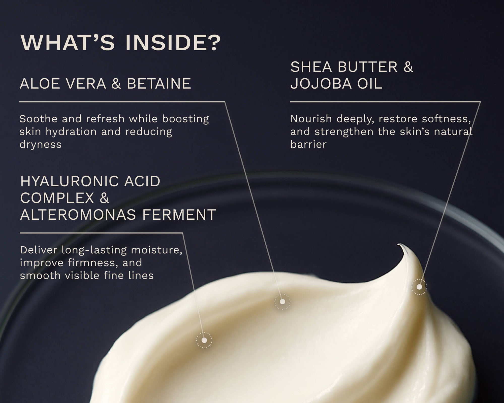 Ingredient spotlight graphic of Hydrate No. 23 Anti-Age Cream highlighting Aloe Vera, Betaine, Hyaluronic Acid Complex, Alteromonas Ferment, Shea Butter, and Jojoba Oil.