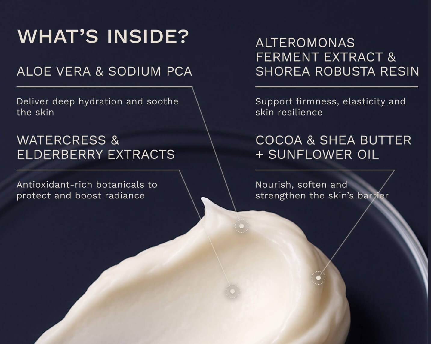 Bergamond &amp; BirchRegenesis No. 36 – Night Repair CreamCollagen Night Cream