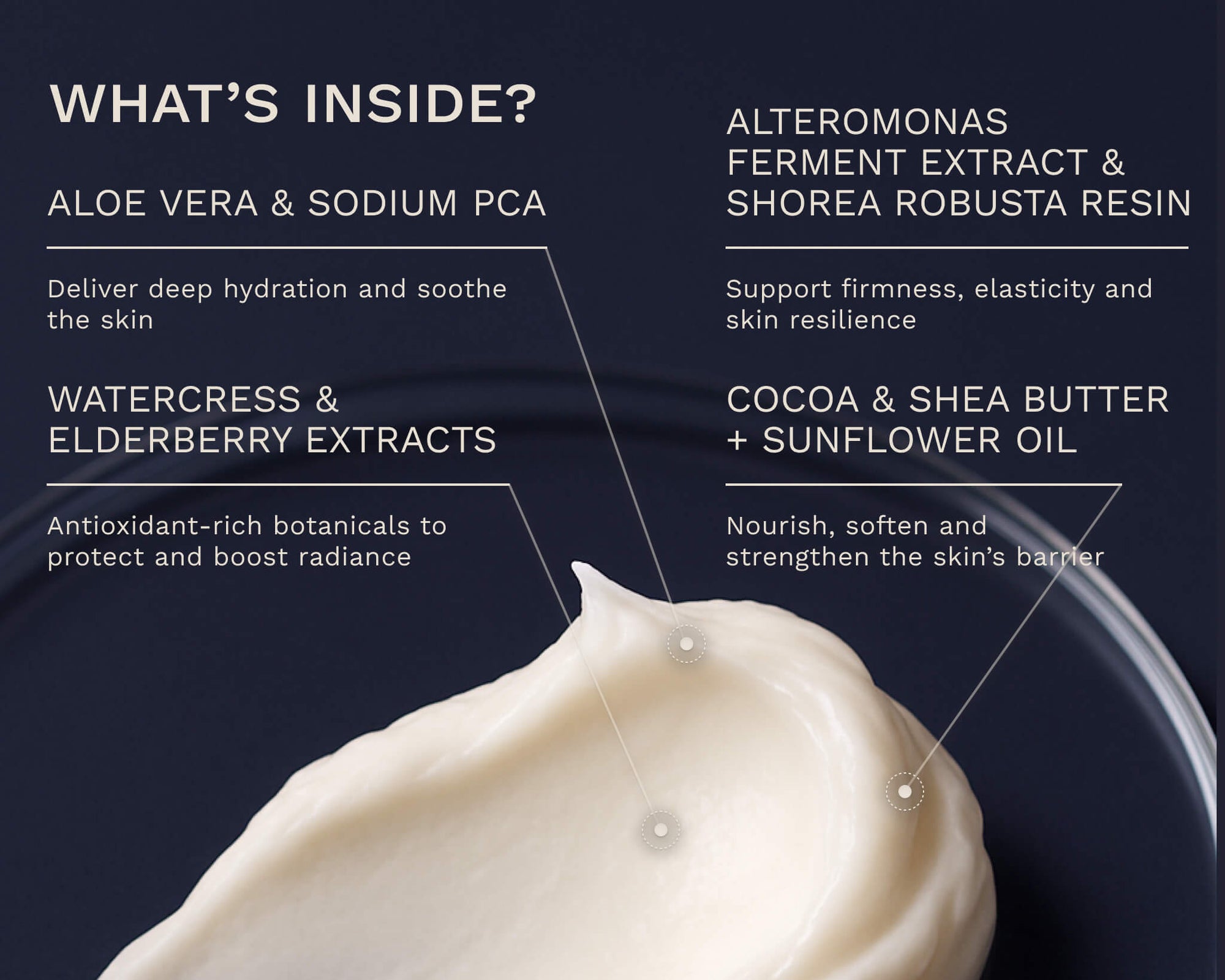 Cream texture close-up showing Aloe Vera, Sodium PCA, Watercress, Elderberry, Alteromonas Ferment Extract, Cocoa Butter, Shea Butter, and Sunflower Oil as active ingredients of Bergamond &amp; Birch Regenesis No. 36 Night Repair Cream.