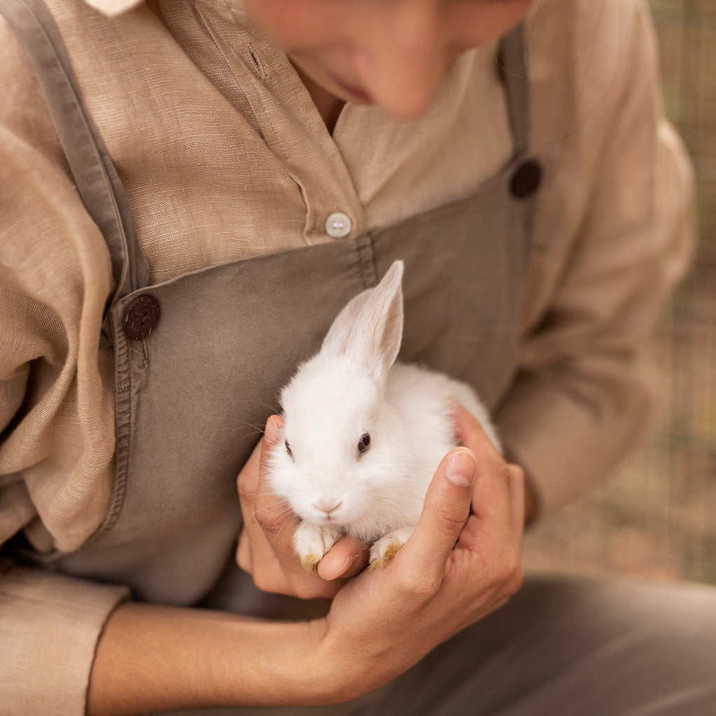 Person in beigefarbener Kleidung hält ein kleines weißes Kaninchen sanft in den Händen.
